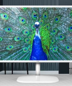 AOC 31.5' QHD IPS Monitor with 2560Ã—1440 @ 75Hz, 4ms, sRGB 101%, DisplayPort and HDMI, sleek white designâ€&rdquo;great for sharp, vibrant visuals