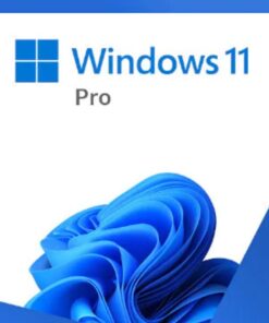 Microsoft Windows 11 Professional 64-bit USB Flash Drive Retail Pack Full Package Product