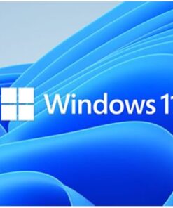 Microsoft Windows 11 Professional for Workstation 64 BIT - By Order