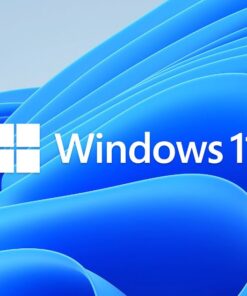 Microsoft Windows 11 Home OEM 64-bit English 1 Pack DVD. Key only NEW