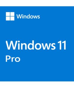 Microsoft Windows 11 Professional OEM 64-bit English 1 Pack DVD. Key NEW